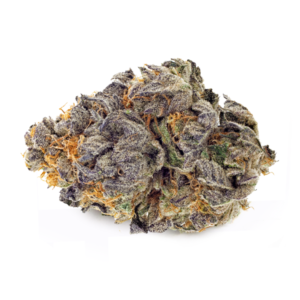 09-animal-cookies-clones-for-sale-maine-600x600