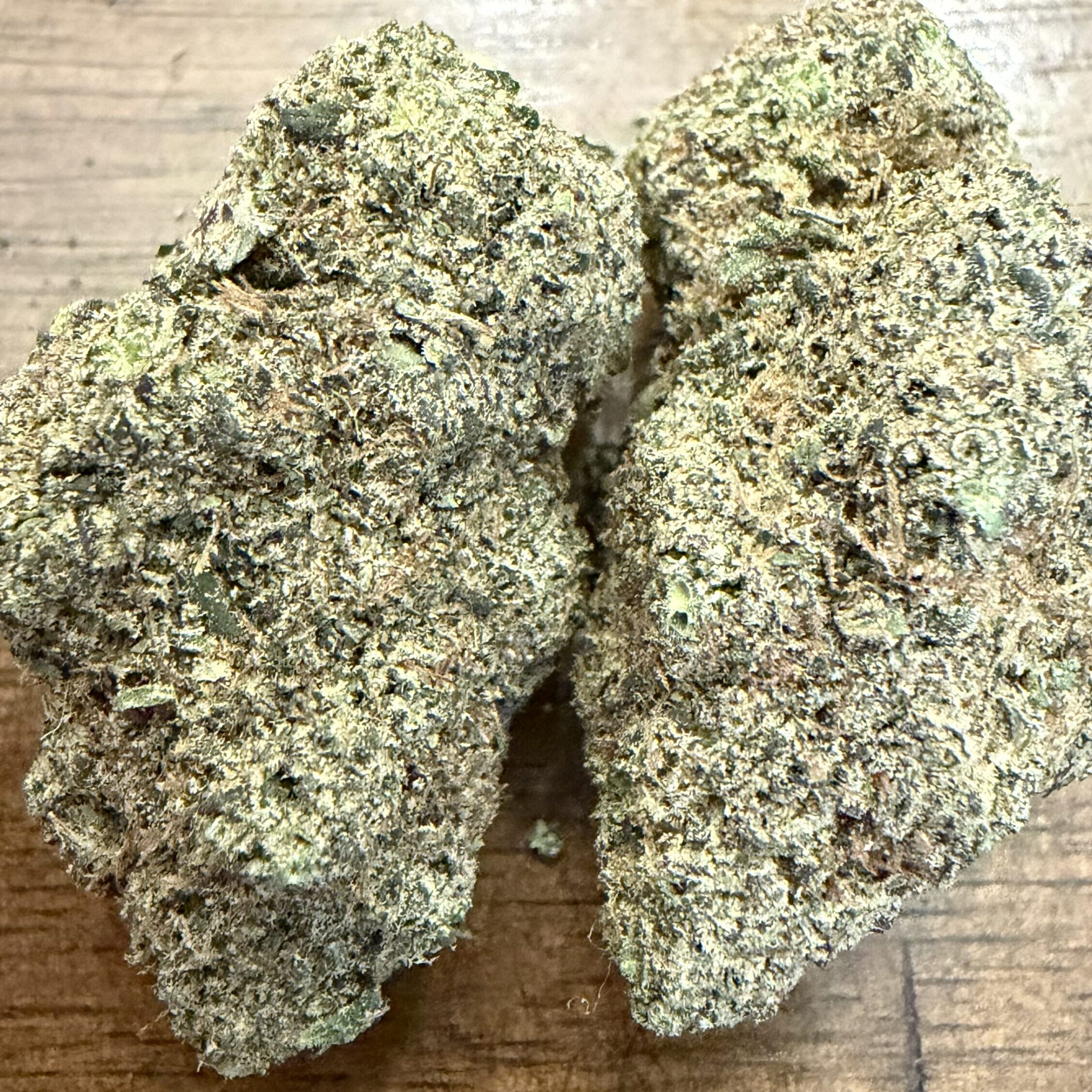 IMG_1970